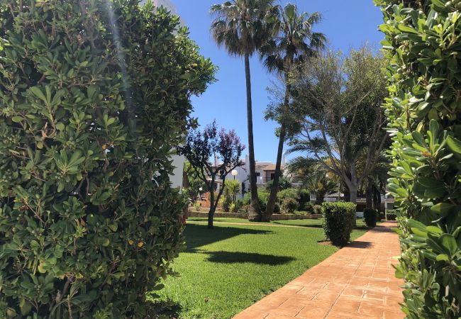 Apartamento en Denia - Apartamento en planta baja frente a la piscina y en primera linea de playa Apartamento en Denia - Apartamento en planta baja frente a la piscina y en primera linea de playa