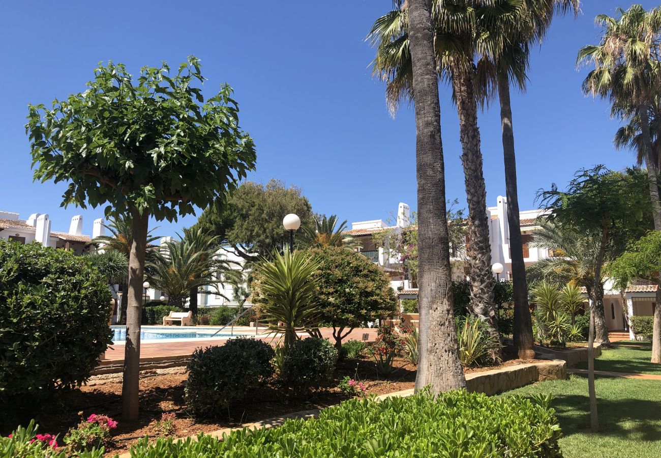 Apartamento en Denia - Apartamento en planta baja frente a la piscina y en primera linea de playa