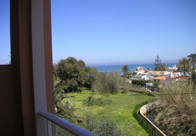 Apartamento en Denia - APARTAMENTO EN PRIMERA LINEA DE PLAYA EN PALM BEACH Apartamento en Denia - APARTAMENTO EN PRIMERA LINEA DE PLAYA EN PALM BEACH