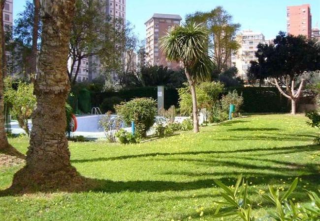 Apartamento en Benidorm - ALHAMBRA (1 DORMITORIO)