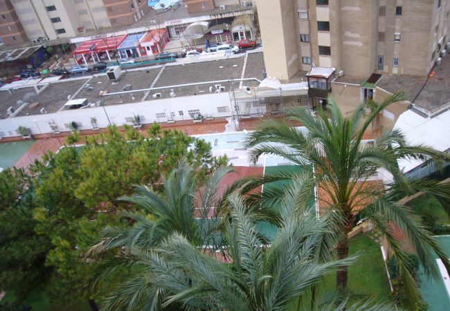 Apartamento en Benidorm - ALHAMBRA (1 DORMITORIO) Apartamento en Benidorm - ALHAMBRA (1 DORMITORIO)