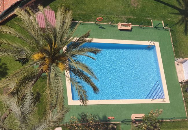 Apartamento en Benidorm - ALHAMBRA (1 DORMITORIO)