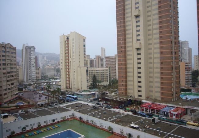 Apartamento en Benidorm - ALHAMBRA (1 DORMITORIO) Apartamento en Benidorm - ALHAMBRA (1 DORMITORIO)