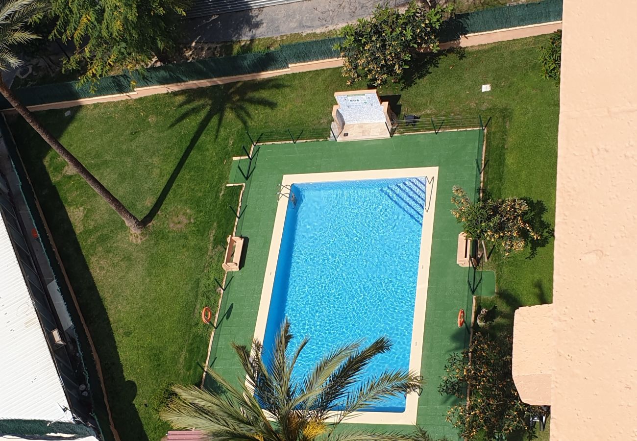 Apartamento en Benidorm - ALHAMBRA (1 DORMITORIO)