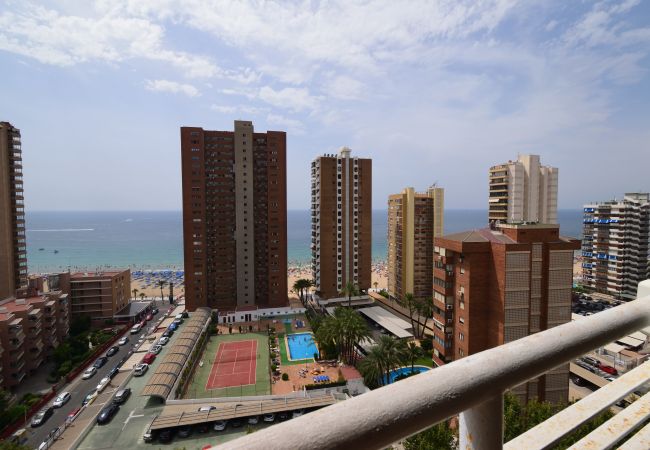 Apartamento en Benidorm - LOS CABALLOS (1 DORMITORIO)