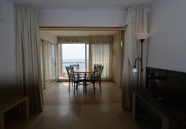 Apartamento en Benidorm - LOS CABALLOS (1 DORMITORIO)