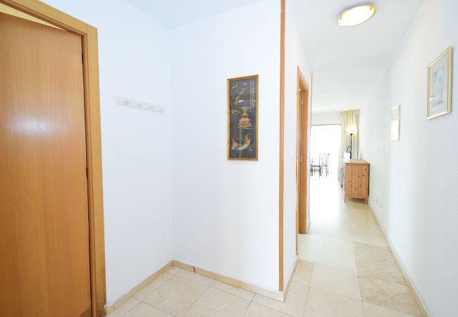 Apartamento en Benidorm - LOS CABALLOS (1 DORMITORIO) Apartamento en Benidorm - LOS CABALLOS (1 DORMITORIO)