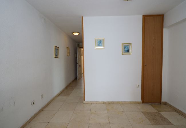 Apartamento en Benidorm - LOS CABALLOS (1 DORMITORIO)