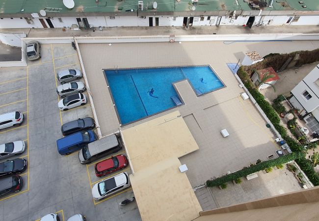 Apartamento en Benidorm - LOS CABALLOS (1 DORMITORIO) Apartamento en Benidorm - LOS CABALLOS (1 DORMITORIO)