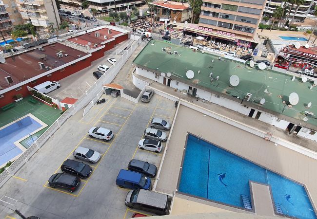 Apartamento en Benidorm - LOS CABALLOS (1 DORMITORIO) Apartamento en Benidorm - LOS CABALLOS (1 DORMITORIO)