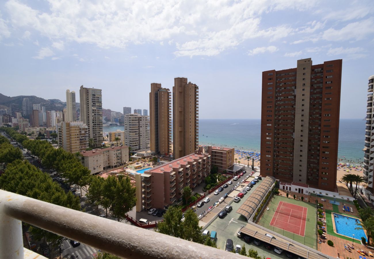 Apartamento en Benidorm - LOS CABALLOS (1 DORMITORIO)