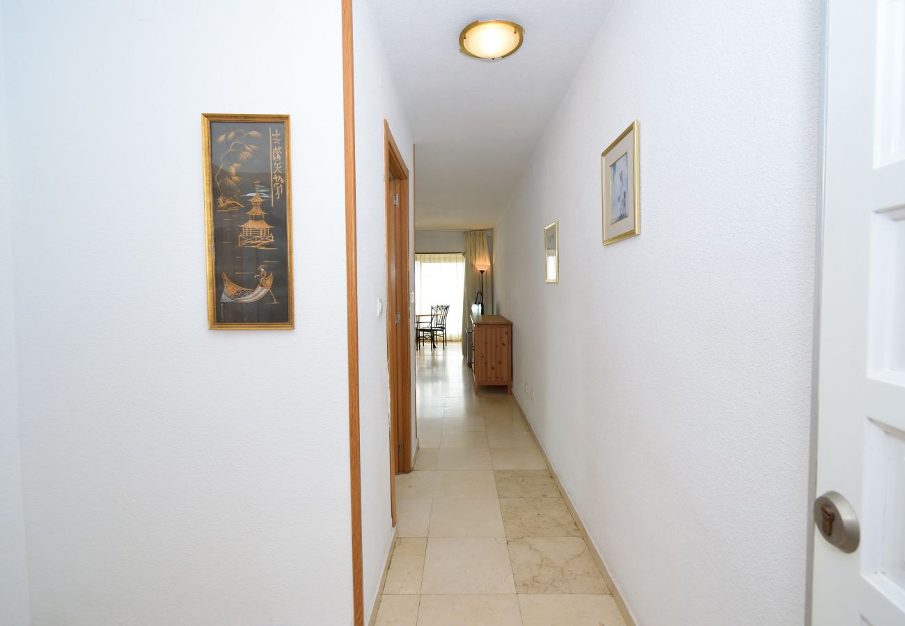 Apartamento en Benidorm - LOS CABALLOS (1 DORMITORIO)