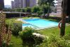 Apartamento en Benidorm - EDEN PARK (2 DORMITORIOS) Apartamento en Benidorm - EDEN PARK (2 DORMITORIOS)