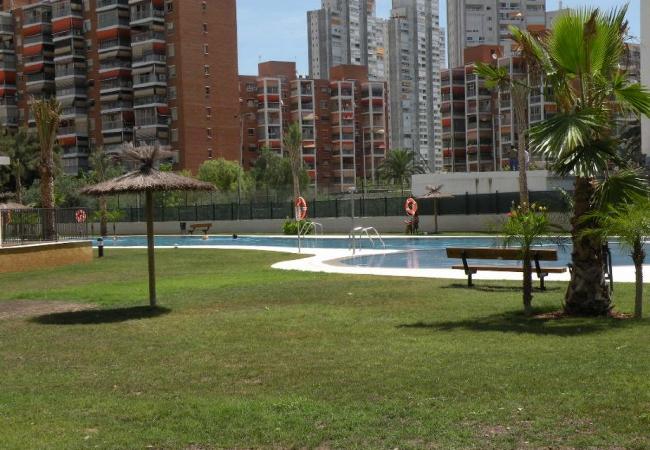 Apartamento en Benidorm - GEMELOS 26 (1 DORMITORIO)