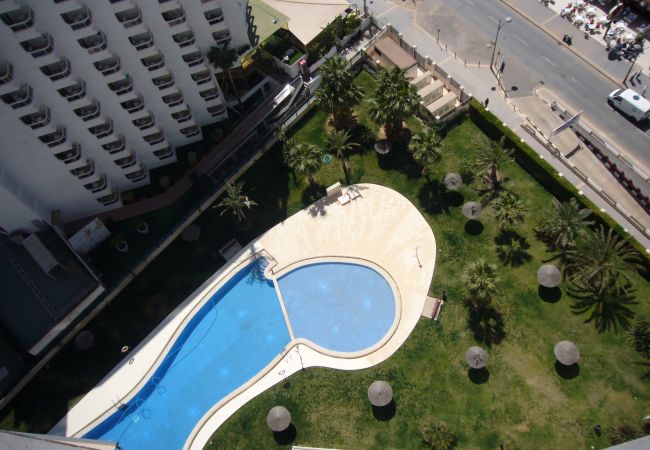 Apartamento en Benidorm - GEMELOS 26 (1 DORMITORIO)