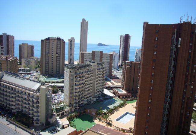 Apartamento en Benidorm - GEMELOS 26 (1 DORMITORIO) Apartamento en Benidorm - GEMELOS 26 (1 DORMITORIO)