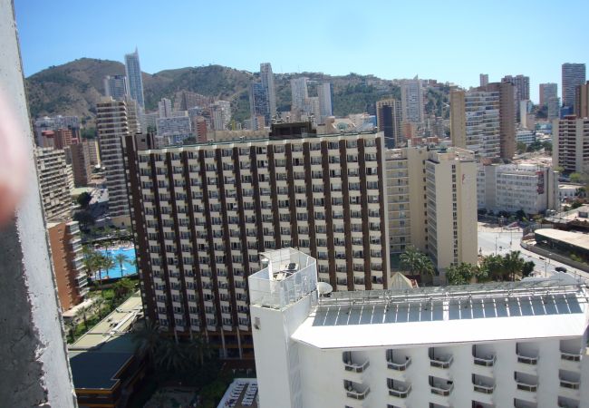 Apartamento en Benidorm - GEMELOS 26 (1 DORMITORIO)