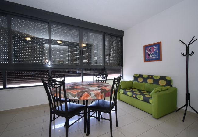 Apartamento en Benidorm - GEMELOS 26 (1 DORMITORIO)