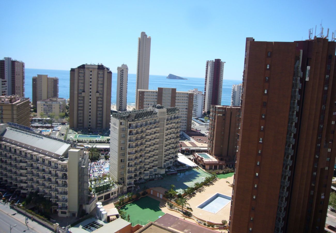 Apartamento en Benidorm - GEMELOS 26 (1 DORMITORIO)