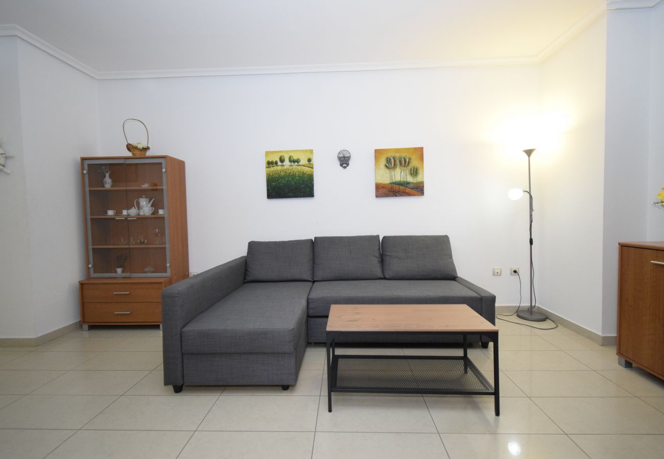 Apartamento en Benidorm - GEMELOS 26 (1 DORMITORIO)