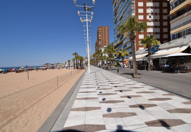 Estudio en Benidorm - MIRAMAR PLAYA (ESTUDIO) Estudio en Benidorm - MIRAMAR PLAYA (ESTUDIO)