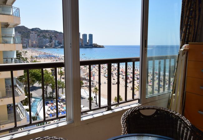 Estudio en Benidorm - MIRAMAR PLAYA (ESTUDIO)