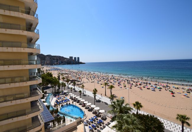 Estudio en Benidorm - MIRAMAR PLAYA (ESTUDIO) Estudio en Benidorm - MIRAMAR PLAYA (ESTUDIO)