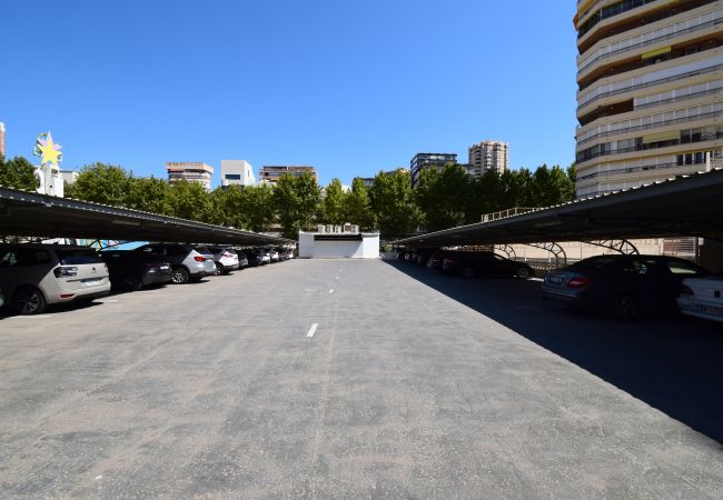 Estudio en Benidorm - MIRAMAR PLAYA (ESTUDIO) Estudio en Benidorm - MIRAMAR PLAYA (ESTUDIO)
