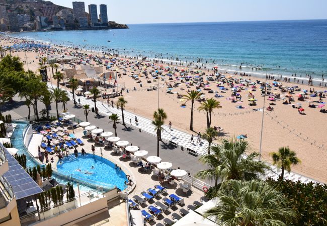 Estudio en Benidorm - MIRAMAR PLAYA (ESTUDIO) Estudio en Benidorm - MIRAMAR PLAYA (ESTUDIO)