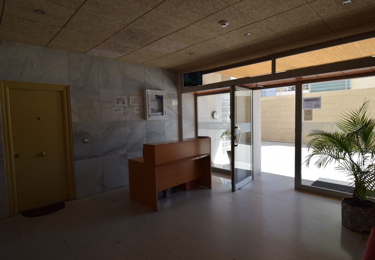 Estudio en Benidorm - MIRAMAR PLAYA (ESTUDIO)