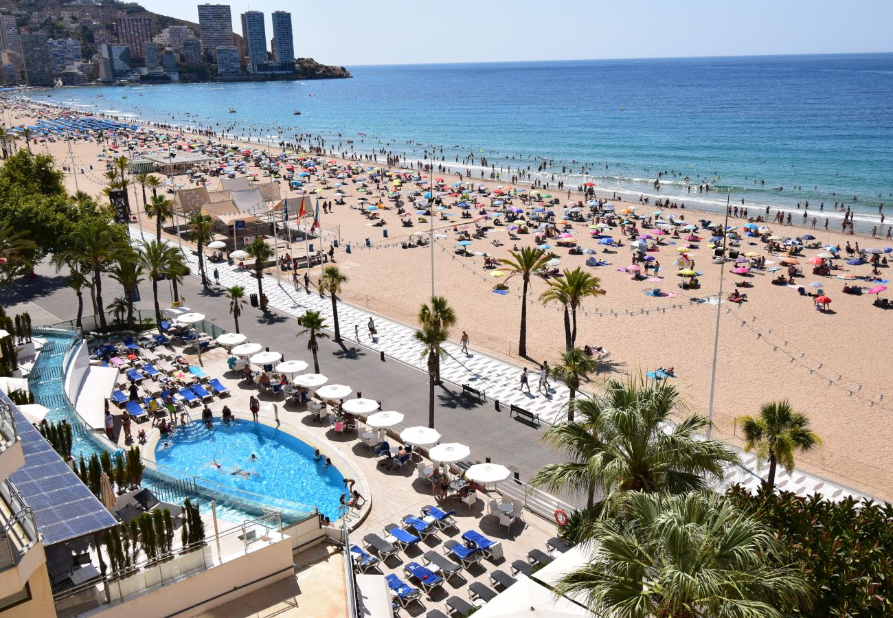 Estudio en Benidorm - MIRAMAR PLAYA (ESTUDIO)