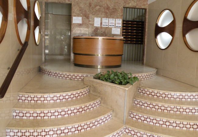 Estudio en Benidorm - DUCADO (ESTUDIO) BENIDORM Estudio en Benidorm - DUCADO (ESTUDIO) BENIDORM