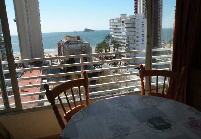 Estudio en Benidorm - DUCADO (ESTUDIO) BENIDORM