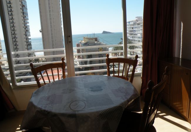 Estudio en Benidorm - DUCADO (ESTUDIO) BENIDORM Estudio en Benidorm - DUCADO (ESTUDIO) BENIDORM