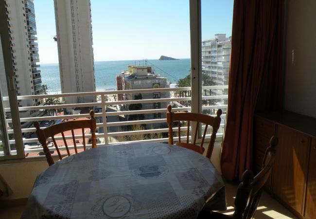 Estudio en Benidorm - DUCADO (ESTUDIO) BENIDORM