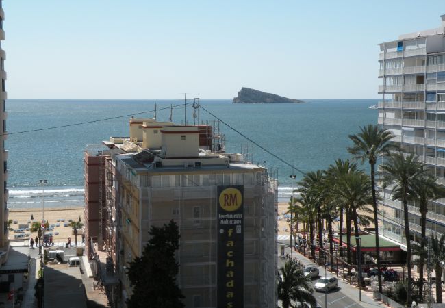 Benidorm - Estudio