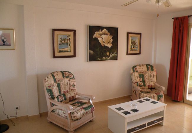 Estudio en Benidorm - DUCADO (ESTUDIO) BENIDORM