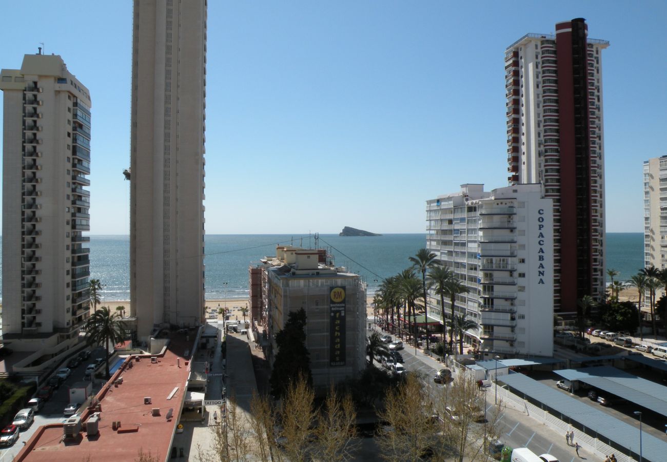 Estudio en Benidorm - DUCADO (ESTUDIO) BENIDORM