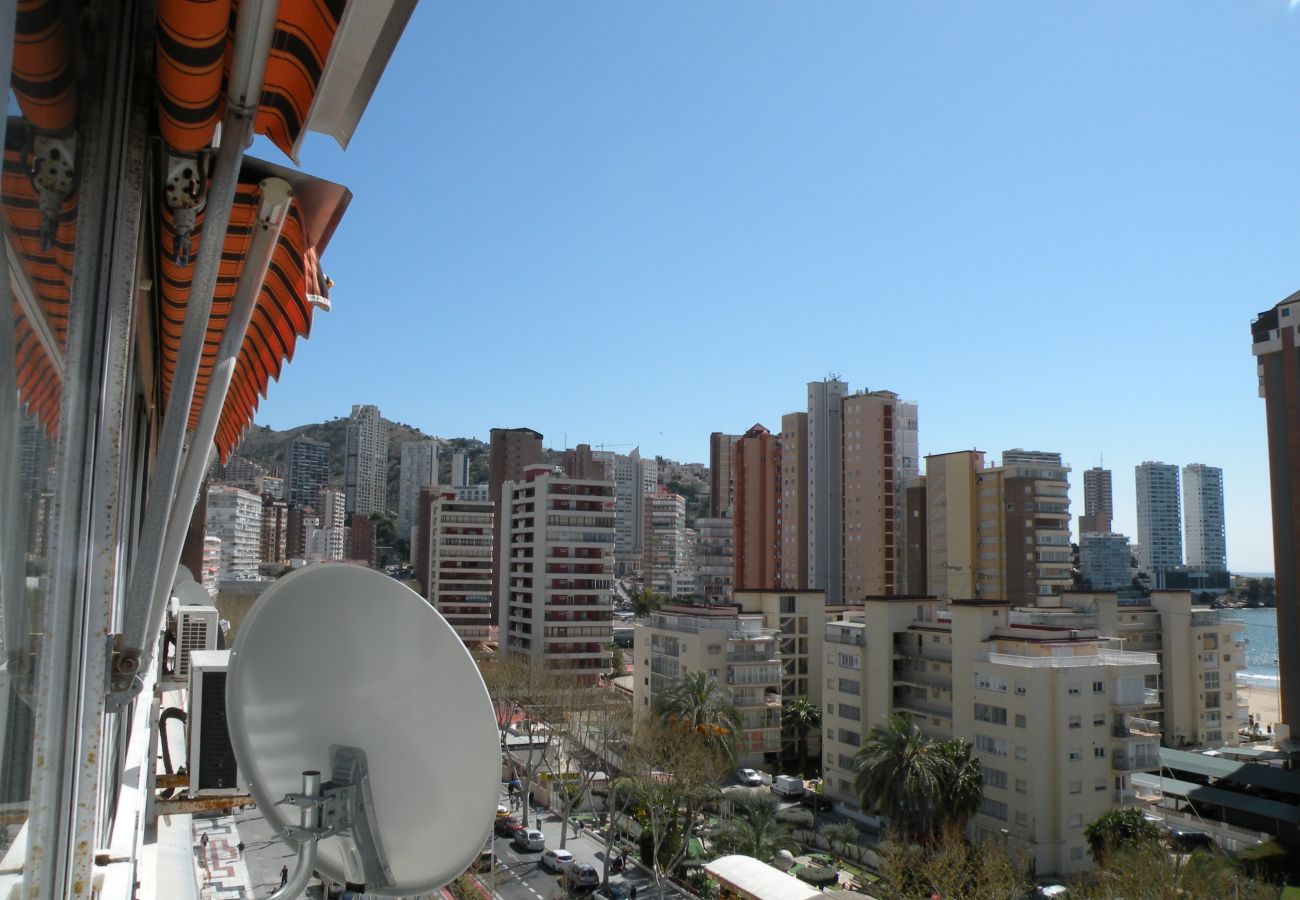 Estudio en Benidorm - DUCADO (ESTUDIO) BENIDORM