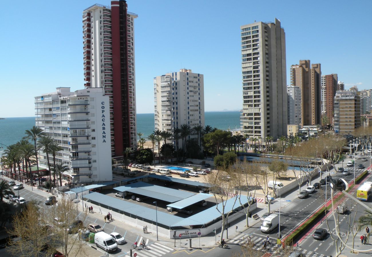 Estudio en Benidorm - DUCADO (ESTUDIO) BENIDORM