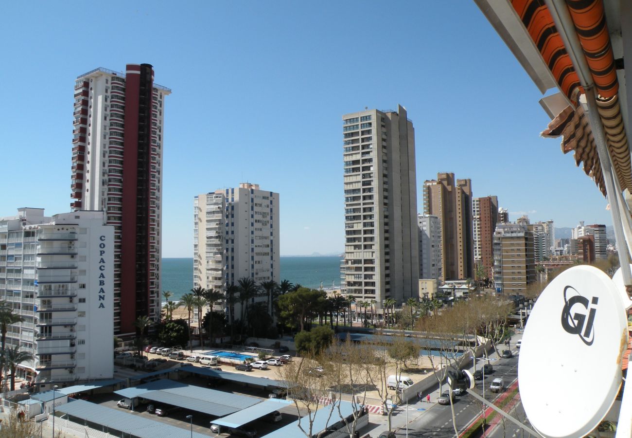 Estudio en Benidorm - DUCADO (ESTUDIO) BENIDORM