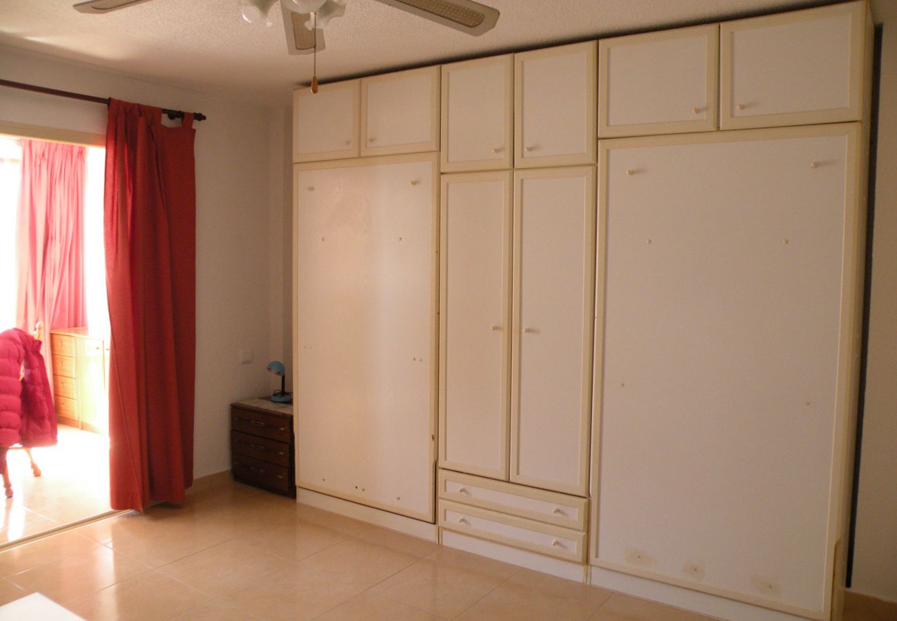 Estudio en Benidorm - DUCADO (ESTUDIO) BENIDORM