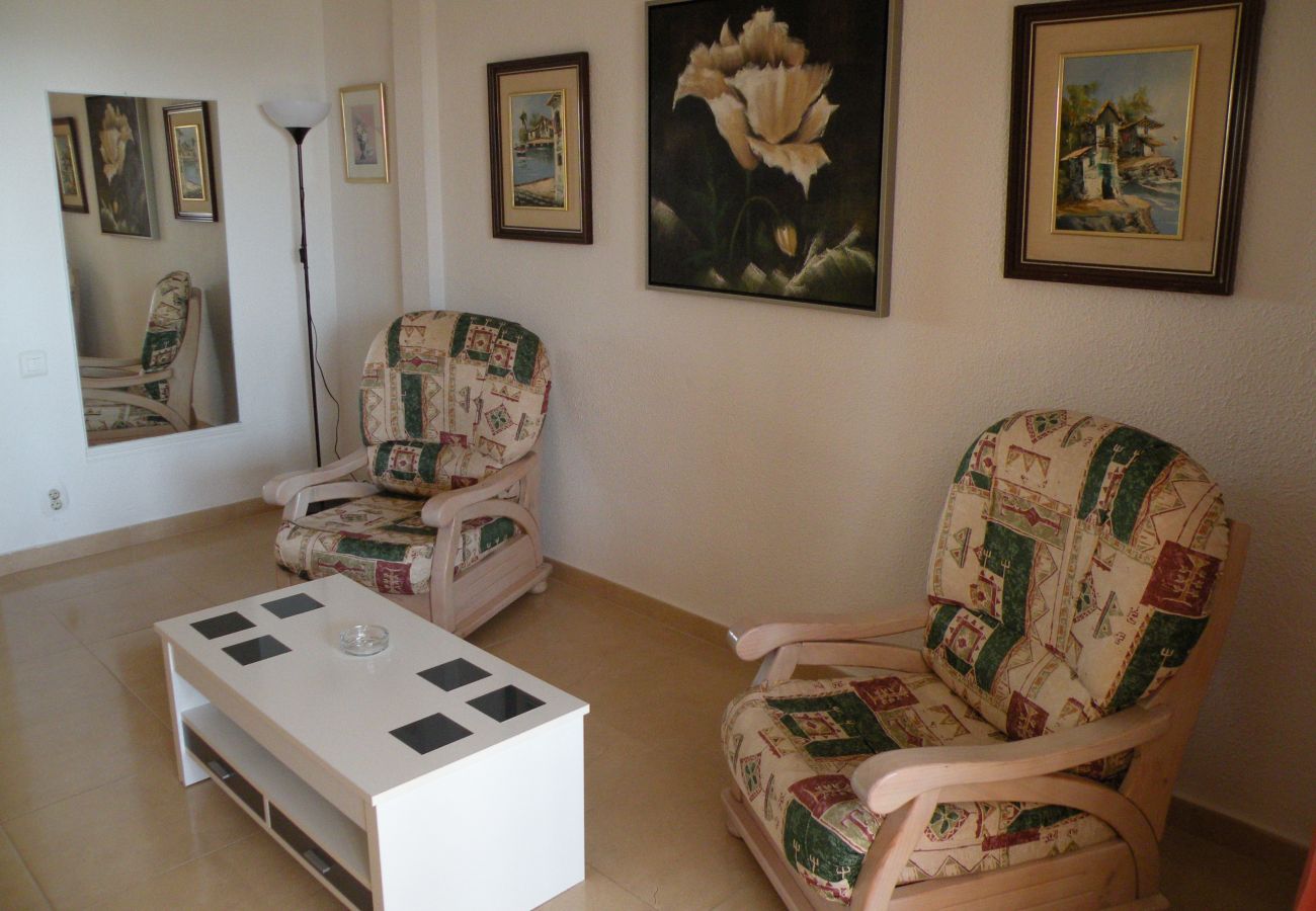 Estudio en Benidorm - DUCADO (ESTUDIO) BENIDORM