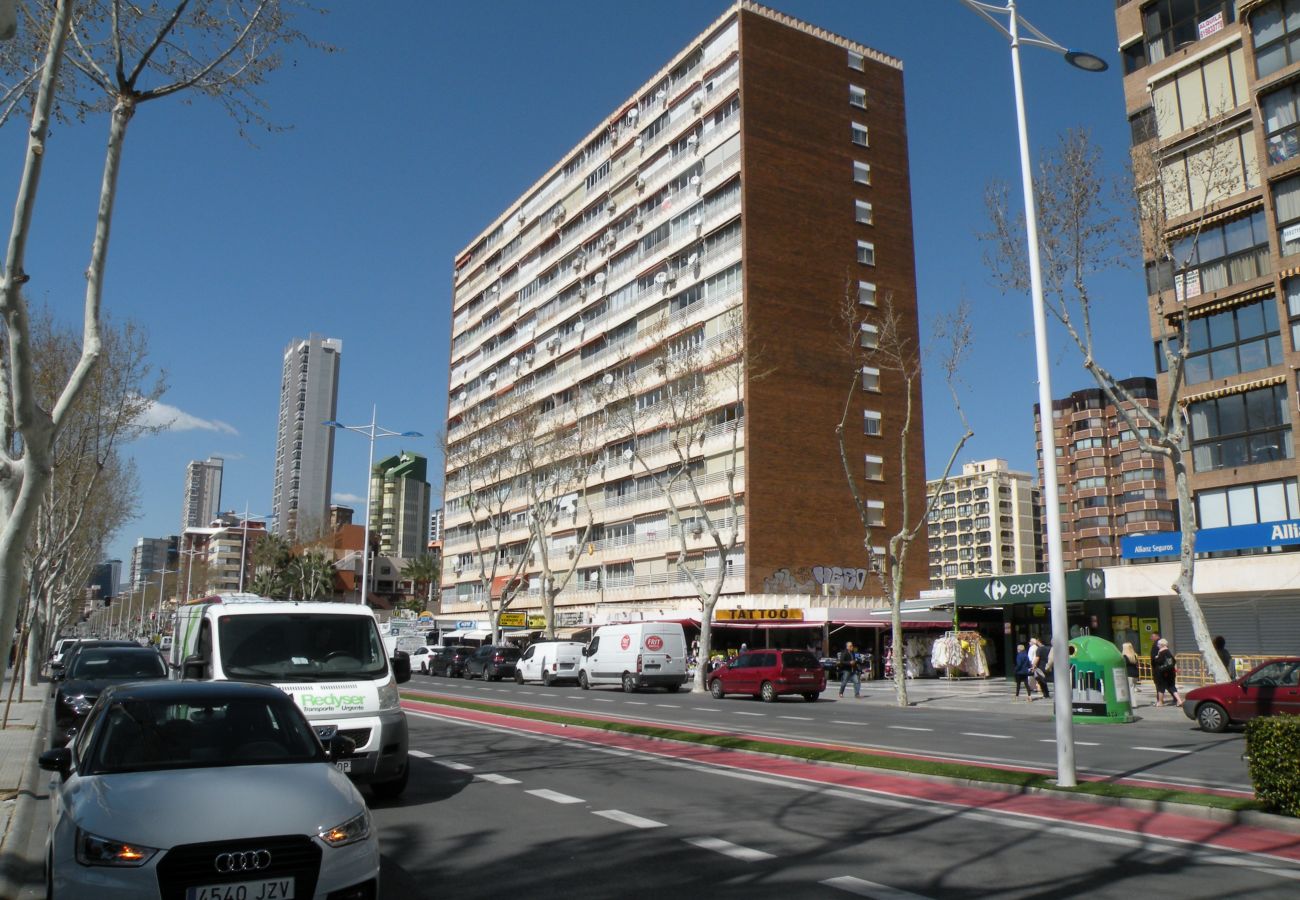 Estudio en Benidorm - DUCADO (ESTUDIO) BENIDORM