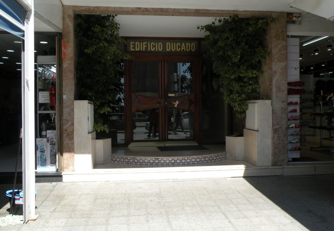 Estudio en Benidorm - DUCADO (ESTUDIO) BENIDORM