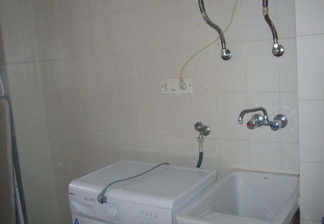 Apartamento en Benidorm - ISLANDIA (1 DORMITORIO) Apartamento en Benidorm - ISLANDIA (1 DORMITORIO)
