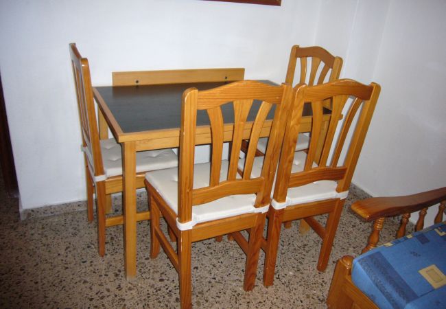 Apartamento en Benidorm - ISLANDIA (1 DORMITORIO) Apartamento en Benidorm - ISLANDIA (1 DORMITORIO)