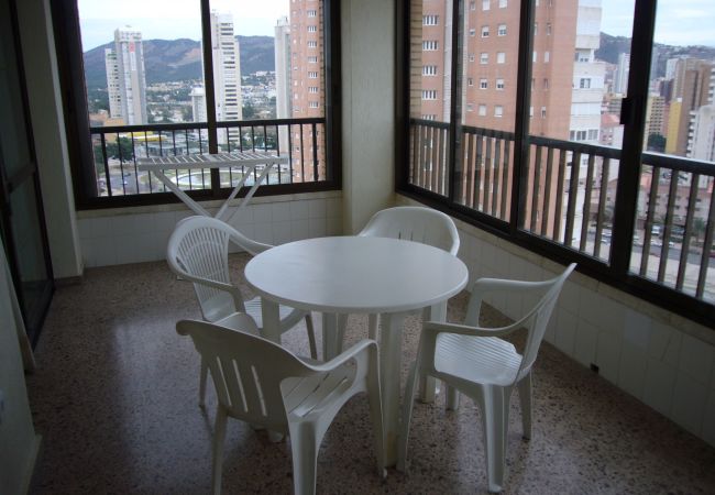 Apartamento en Benidorm - ISLANDIA (1 DORMITORIO) Apartamento en Benidorm - ISLANDIA (1 DORMITORIO)