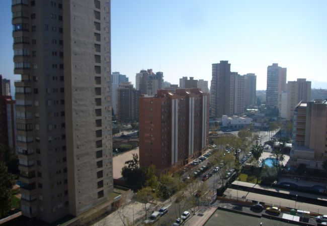 Apartamento en Benidorm - ISLANDIA (1 DORMITORIO) Apartamento en Benidorm - ISLANDIA (1 DORMITORIO)