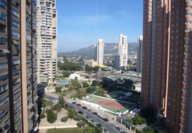 Apartamento en Benidorm - ISLANDIA (1 DORMITORIO) Apartamento en Benidorm - ISLANDIA (1 DORMITORIO)